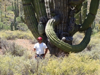 Guias especializados